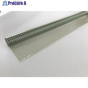 �X������ �n�C�p�[�J�[�e�� ���� �h���I�v�g�����N���A�O���[�� 0.3mm×2050mm×30m��(2cm�܂���) HCOPICG03205030A2 1�{ ����683-8406 �y�����s�x���ρz