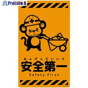 �O���[���N���X �j���[�R�[���T�C���u���I�����W �T�� ���S��� CSO-S22 6300059096 1�� ����694-7513 ���l��l����s��