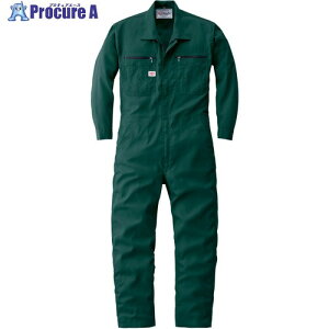 AUTO-BI ʔNf Ȃ24031-010O[-5lTCY 24031-010-5L 1 696-8818 ysxρz