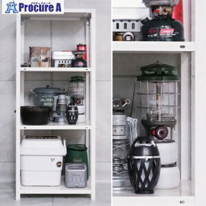 k X}[gbN NSTR-137 3i ubN 600X450X600 51060013702 1 697-0211