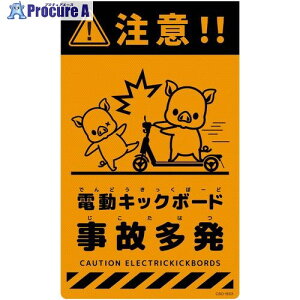 O[NX j[R[TCuIW u^ dLbN{[h̑ CSO-B33 6300061719 1 699-2106 lls