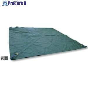 TESAC pbR pV[gbR5.2m x 5.2m JYOSETSUMOK5.2 2 699-3042 ysxρzԏn