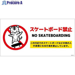 O[NX XP[g{[h֎~Wg RXebJ[SBKT-WS1 6300062128 1 699-6128 lls