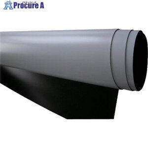 ���� �����r�t���V�[�g�}�O�l�b�g T0.9X1mX1m NT7SVW091M1M 1�� ��837-9900