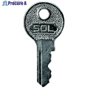 SOL V_[XyAJbgL[50mmpNo.w 2500DX50CKEY 1 849-0133 ysxρz