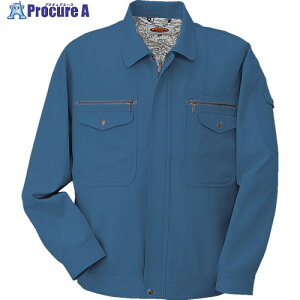 �R�[�R�X �u���]��H-1191 6 �u���[ L H-1191-6-L 1�� ����854-3070 �y�����s�x���ρz