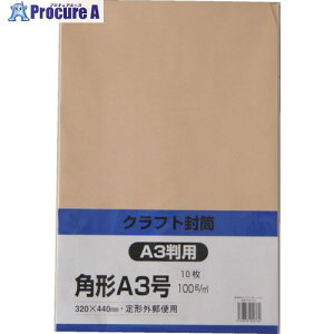 LOR[| Ntg p`A3 100g 10 KA3K100 1pbN 856-0493