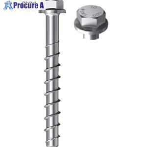 �t�B�b�V���[ �R���N���[�g�X�N�����[�^�A���J�[ FBS2 10×230 175/165/145 US(20�{��) 536867 1�� ��859-8251