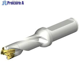 SANDVIK CoroDrill DE10ヘッド交換式ドリル 17-17.99mm(446) DE10-D1700-170LX19-3 1本 ■▼707-6165 【送料都度見積】 ●KO521