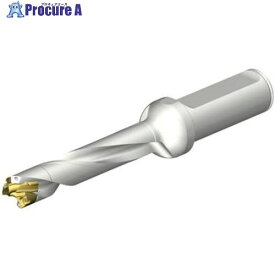 SANDVIK CoroDrill DE10ヘッド交換式ドリル 14-14.99mm(446) DE10-D1400-140LX19-5 1本 ■▼707-6518 【送料都度見積】 ●KO521