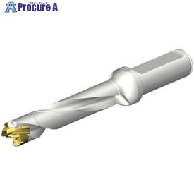 SANDVIK CoroDrill DE10ヘッド交換式ドリル 17-17.99mm(446) DE10-D1700-170LX19-5 1本 ■▼707-6530 【送料都度見積】 ●KO521