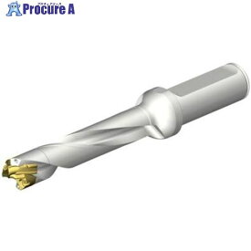 SANDVIK CoroDrill DE10ヘッド交換式ドリル 16-16.99mm(446) DE10-D1600-160LX19-5 1本 ■▼707-6534 【送料都度見積】 ●KO521