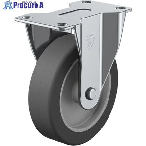���[�G�C �v���[�g�� �Œ� �L���X�^�[ �G���X�g�}�[ �ԗ֌a75mm E�^�C�v ER�^ ��t���@56×28 ER-75EL 1�� ��380-3155