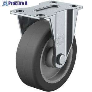 ���[�G�C �v���[�g�� �Œ� �L���X�^�[ �G���X�g�}�[ �ԗ֌a75mm G�^�C�v GR�^ ��t���@55×28 GR-75EL 1�� ��392-9931