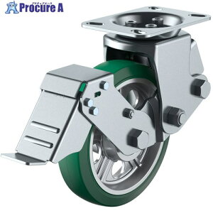 ���[�G�C �v���[�g�� �Œ� �L���X�^�[ �ϖ��՗΃S�� �ԗ֌a200mm �X�g�b�p�[�t�� SKY�^�C�v SKY-2R-S�^ ��t���@133×86(125×62) SKY-2R200AWS(AR)GR-A-1 1�� ����618-3385 �y�����s�x���ρz