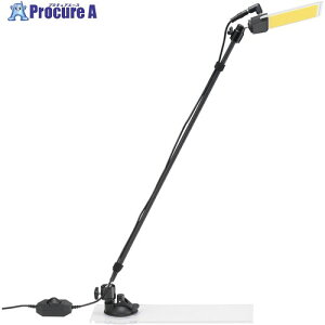 YAZAWA dCfXNX^h ǂłCg zՃ|[500  DL01 1 712-9241 ysxρz