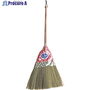 c ʑ Z 19570 1{ 434-8437 ԏn