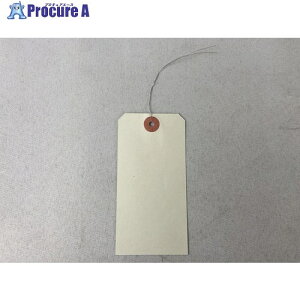 ^JCN jtJ[׎D 21000 ˂ 60mm×120mm 99NF210 1 711-4932 ysxρz