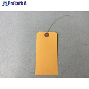 ^JCN jtJ[׎D 21000 IW 60mm×120mm 99NF205 1 711-4933 ysxρz