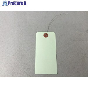 ^JCN jtJ[׎D 21000  60mm×120mm 99NF207 1 711-4944 ysxρz