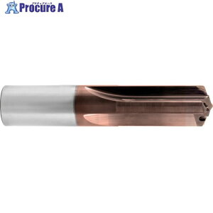 GUHRING 4nh 3xD SignumR[g 6mm 6044 6.000 1{ 710-8943 ysxρz