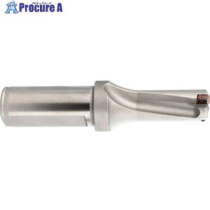 GUHRING �C���T�[�g�������h���� 2xD �z���_20.000 28500 20.000 1�{ ����711-7800 �y�����s�x���ρz