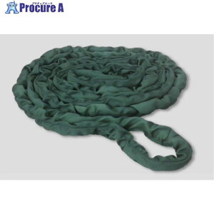TESAC �x���g�X�����O �n�C�e�N�����\�t�gN�`(�G���h���X�^�C�v) 50t�p×4m THSN50TX4M 1�{ ����711-2995