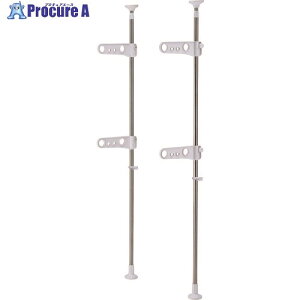 TENMA PORISH ˂莮 x_p PS-20 g 811000445 1 200-6806