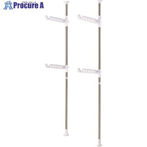 TENMA PORISH ˂莮 gp PS-19 g 811000444 1 200-6838