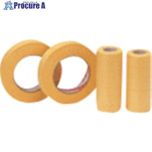 3M XRb` ʎ}XLOe[v 244 24mmX18m 5 244 24X18P 1pbN 250-1793