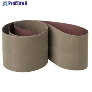 3M �g���C�U�N�g�N���X�x���g307EA�CA30�CJE-weight�CFilm-lok�C100mmx3350mm�C50�{/�� 307E 30 100X3350FL 50�{ ����567-5236 �y�����s�x���ρz