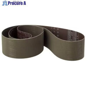 3M �g���C�U�N�g�N���X�x���g253FA�CA30�CXF-weight�CFilm-lok�C340mmx2000mm�C10�{/�� 253F 30 340X2000FL 10�{ ����568-1491 �y�����s�x���ρz