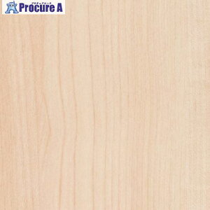 3M _CmbNtB FW-1261 1220mmX50m FW1261 1 104-9947 ysxρzԏn