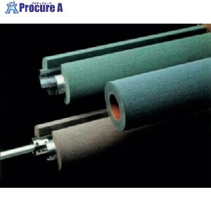 3M �X�R�b�`�E�u���C�gFD�t���b�v�u���VNSP�C2SUltraFineFiner�CNSP�C150mmx595mmx60mm�C1��/�� FNSP 2SUFF 150X595 1�� ����567-9973 �y�����s�x���ρz