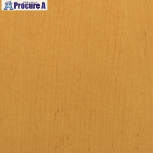 3M _CmbNtB WG-831 1220mmX50m WG831 1 104-3934 ysxρzԏn