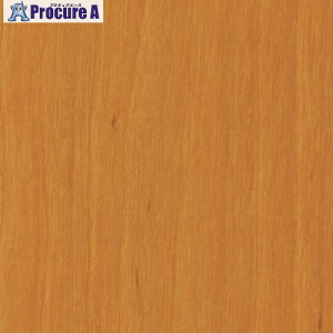 3M _CmbNtB WG-841 1220mmX50m WG841 1 104-3996 ysxρzԏn