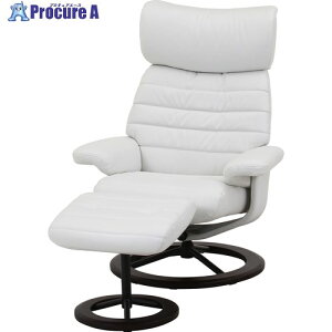 sf p[\i`FA[ I[ WH 70766 1 680-1088 ysxρzԏn