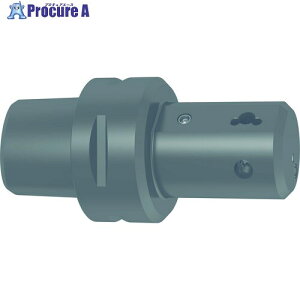 GUHRING �|���S���V�����N�z���_ ISO 26623�C�I�t�Z�b�g90° GH108.PO50.060.90.22.R.IK 27012 8.003 1�{ ����710-4522 �y�����s�x���ρz
