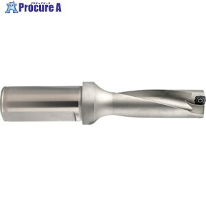 GUHRING �C���T�[�g�������h���� 3xD �z���_46.000 28501 46.000 1�{ ����712-7310 �y�����s�x���ρz