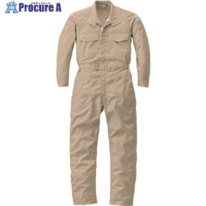 AUTO-BI ʔNf m[bNXȂ12101-106x[W-5L 12101-106-5L 1 162-0553 ysxρz