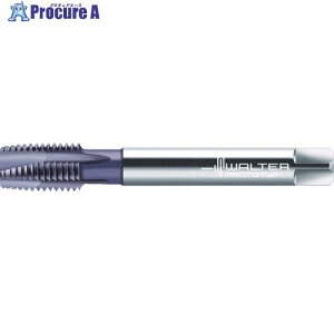 Prototyp �}�V���^�b�v 2026763-M20 1�� ����228-0970 �y�����s�x���ρz ��O585