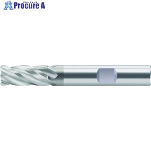 Prototyp Protomax Inox �G���h�~�� H2134217-10 1�� ����228-4545 �y�����s�x���ρz ��O585
