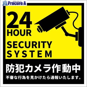 �O���[���N���X �h�ƃJ�����W�� �X�e�b�J�[ �c �� BCH-HS1L 6300075366 1�� ����703-4874 ���l��l����s��