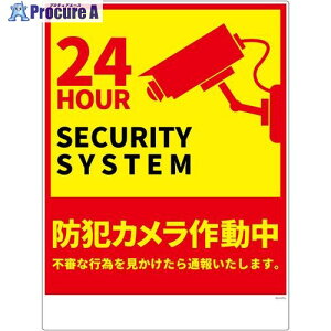 �O���[���N���X �h�ƃJ�����W�� ���r �c �� BCH-HP3L 6300075408 1�� ����703-4887 ���l��l����s��