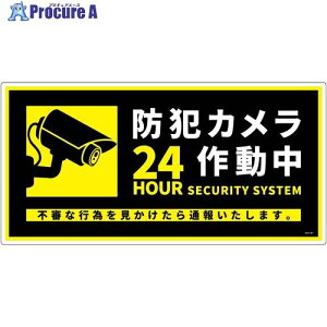 �O���[���N���X �h�ƃJ�����W�� ���r �� BCH-WP1 6300075410 1�� ����703-4888 ���l��l����s��