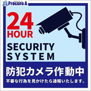 �O���[���N���X �h�ƃJ�����W�� �}�O�l�b�g �c �� BCH-HM4L 6300075389 1�� ����703-4891 ���l��l����s��