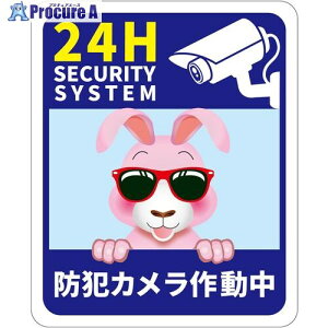 O[NX hƃJW }Olbg ETM 6300075425 1 703-4894 lls