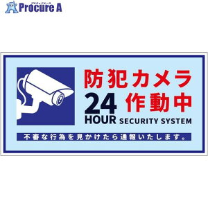 �O���[���N���X �h�ƃJ�����W�� �X�e�b�J�[ �� �� BCH-WS4M 6300075377 1�� ����703-4904 ���l��l����s��