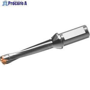 �O�H �w�b�h���������d�h���� DXAS�z���_ d18×L/D 5 DXAS1800X5F25 1�{ ����717-7800 �y�����s�x���ρz ��SI517