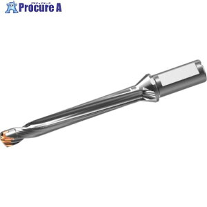 �O�H �w�b�h���������d�h���� DXAS�z���_ d18×L/D 8 DXAS1800X8F25 1�{ ����717-7864 �y�����s�x���ρz ��SI517